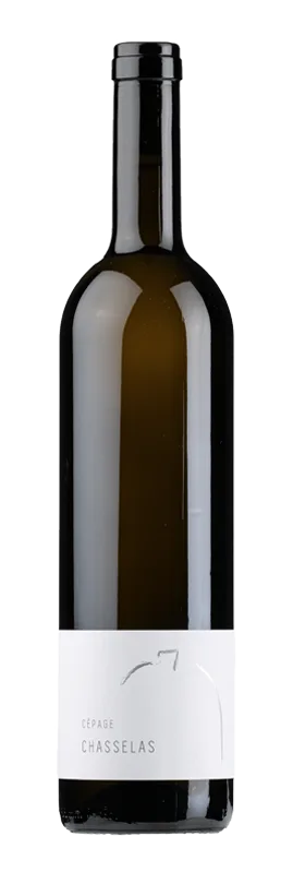 Chasselas